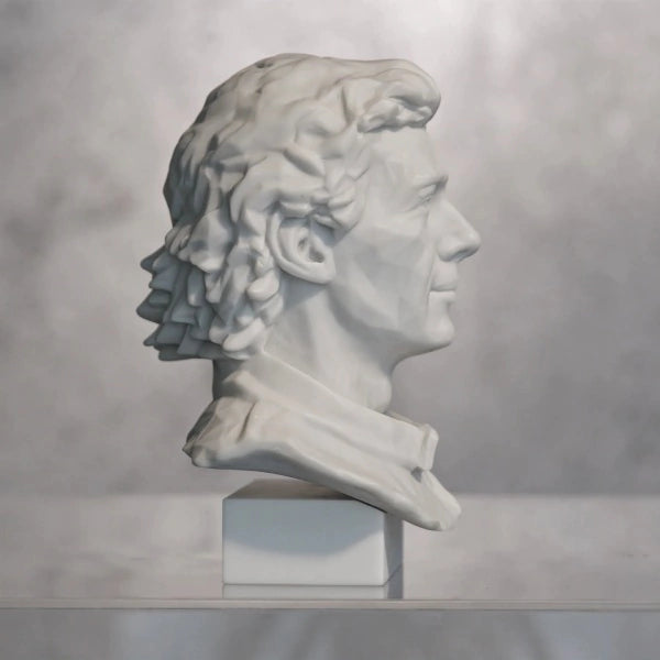 Nosso Senna Collection Champion Limited Edition