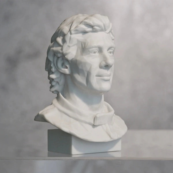 Nosso Senna Collection Champion Limited Edition